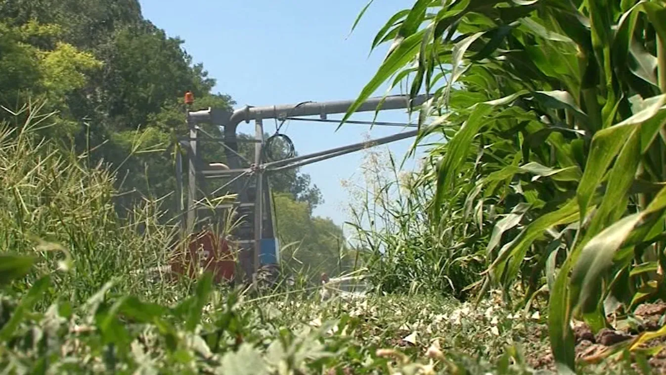 A felszíni vizek hasznosításával váltanák ki a kutakat