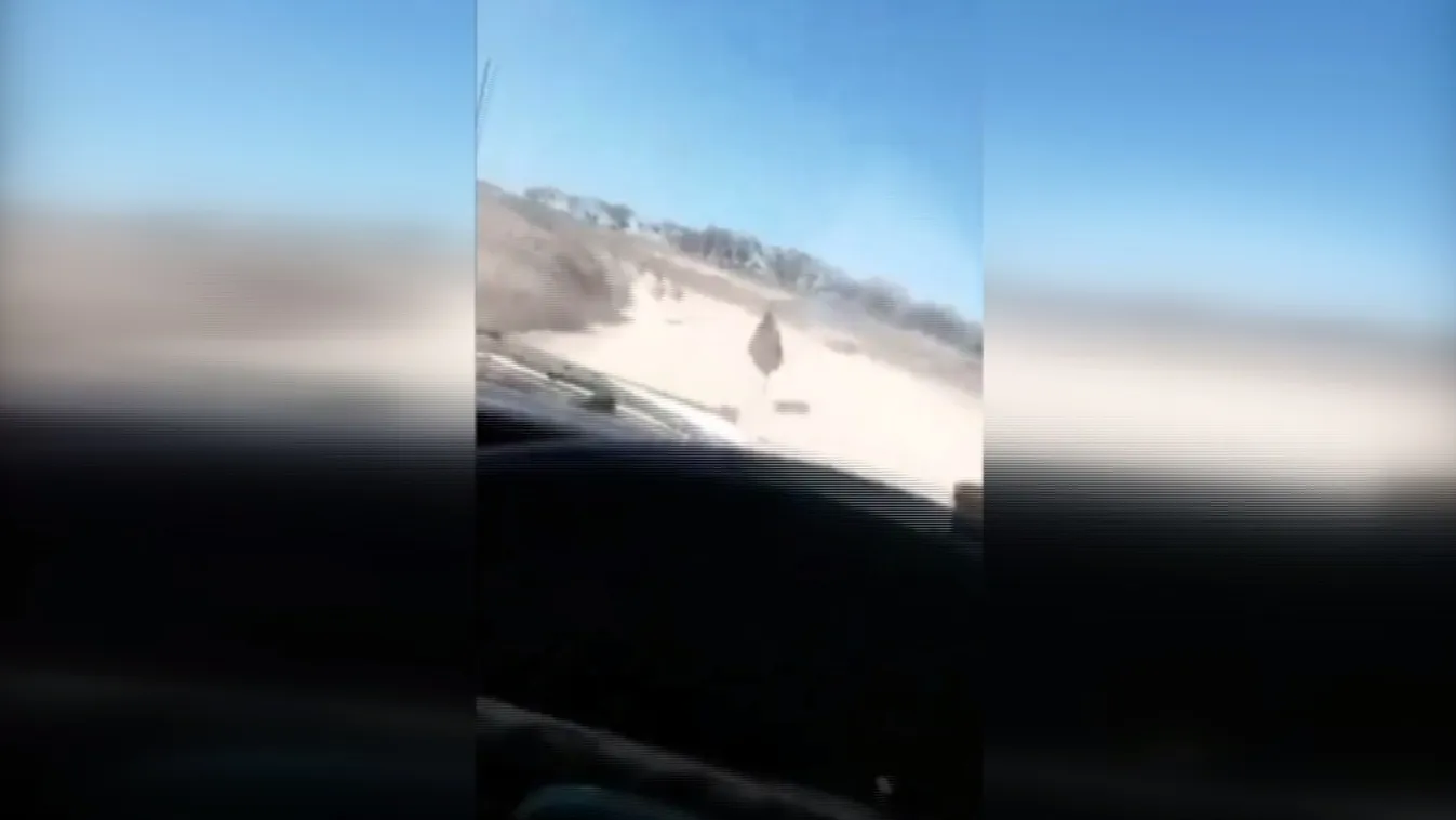 Hangosan röhögve gázolt halálra egy emucsapatot