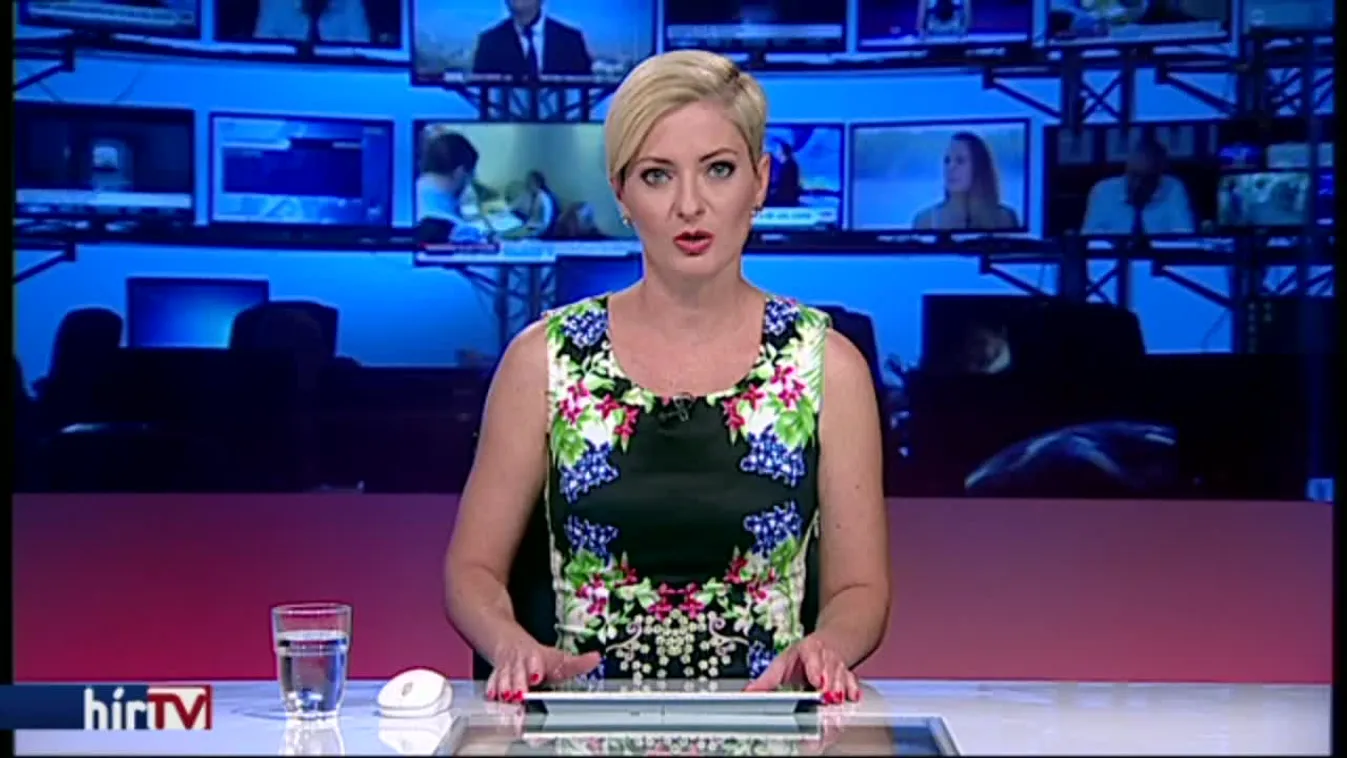 Szakmai kabineteket állít fel a Mi Hazánk Mozgalom