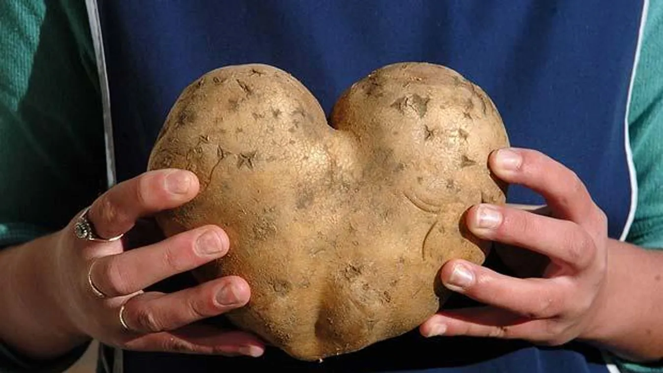 Népszerű Krisztina és Boglárka, csak nincs belőlük elég