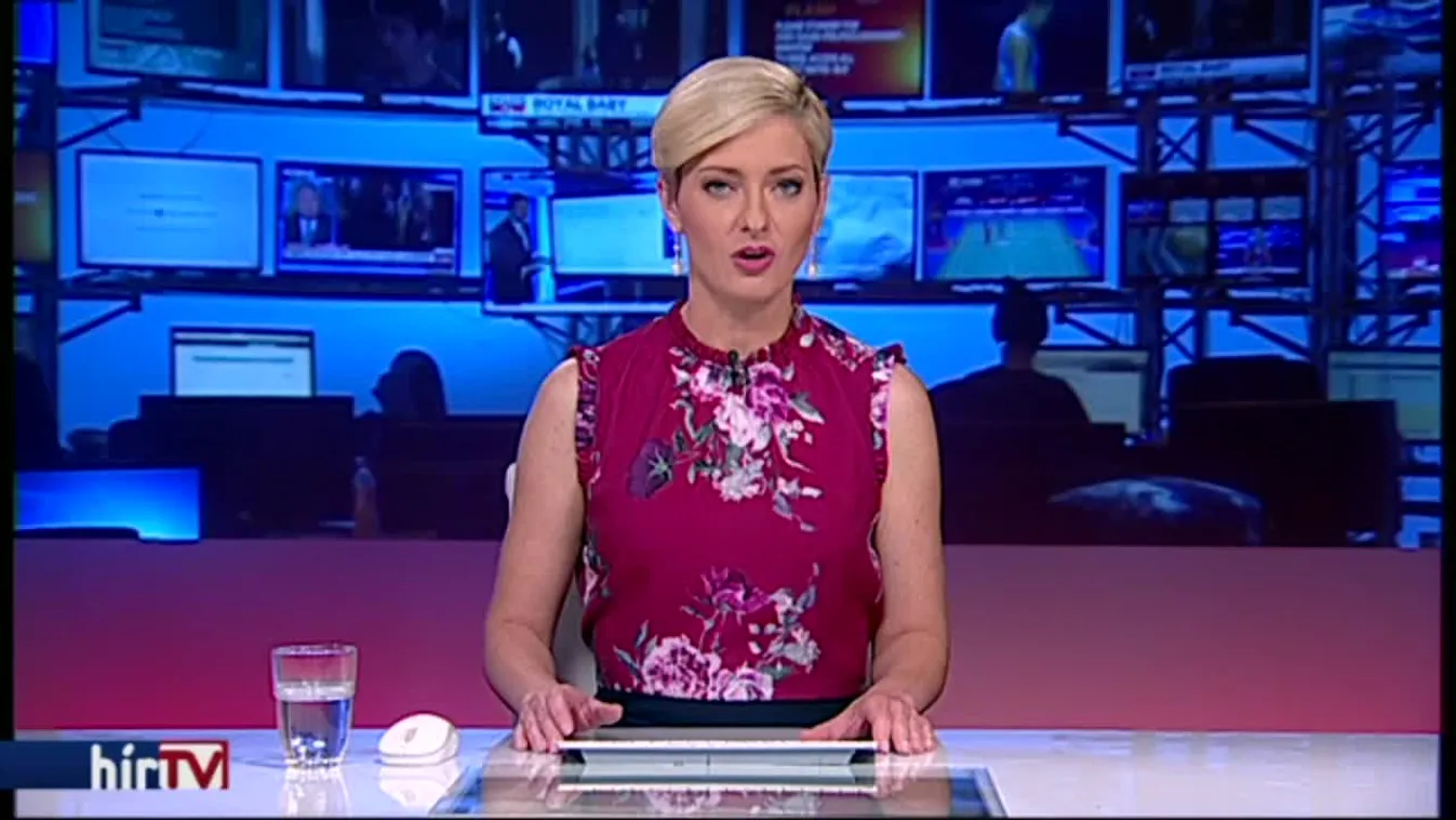 Az MTA is beszáll a poloskák elleni küzdelembe