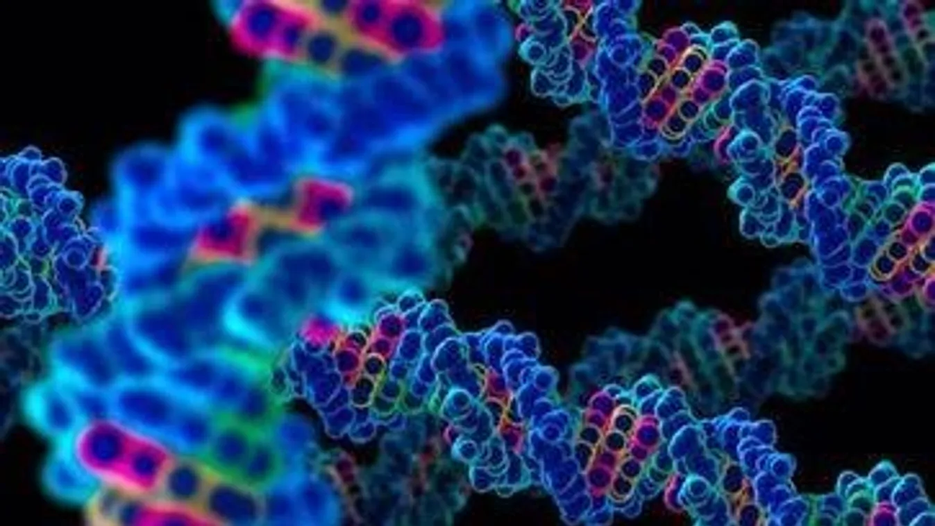 Felnőttként is sejtjeikben hordozzák a trauma nyomait a bántalmazottak