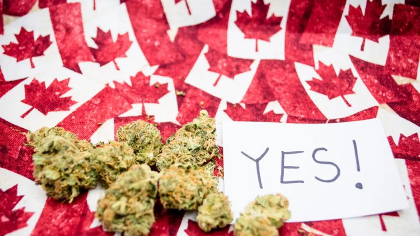 Kanadában mostantól legálisan árulják a kannabiszt