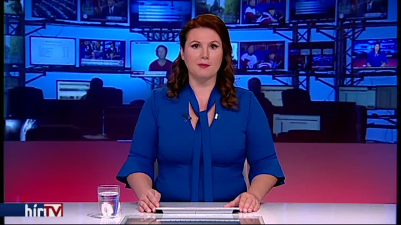 Egy centrum létrehozásával oldaná meg a válságot Puzsér