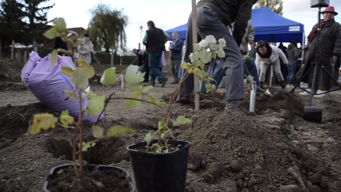 Bolgárkert után bányakert