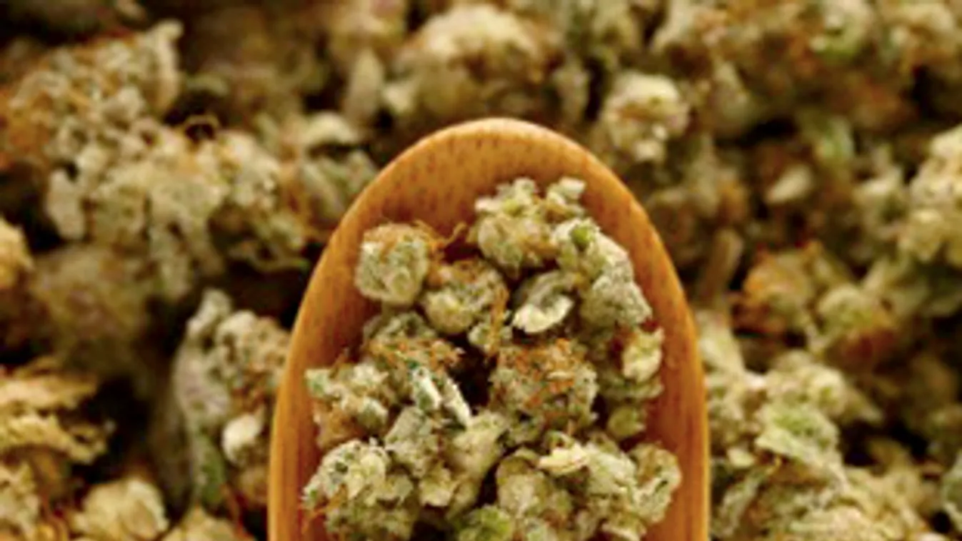 16 kiló marihuánával próbálkozott a szerb csempész