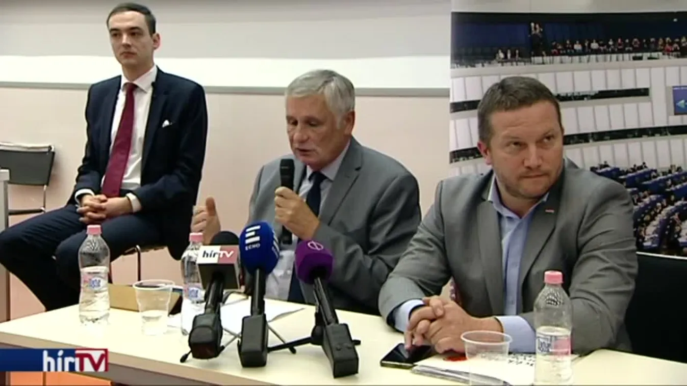 A magyar EP-képviselők egyetlen dologban értenek egyet