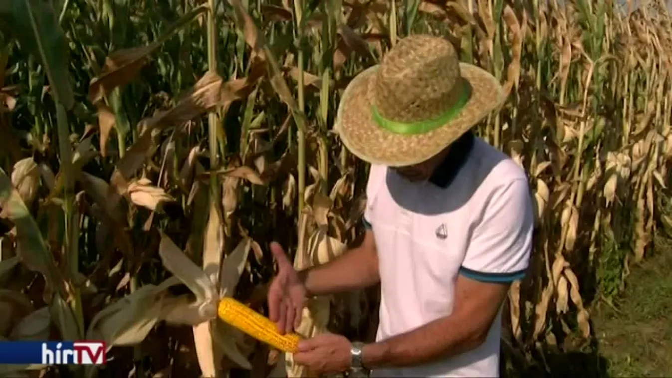 Csontszáraz a talaj az ország nagy részén