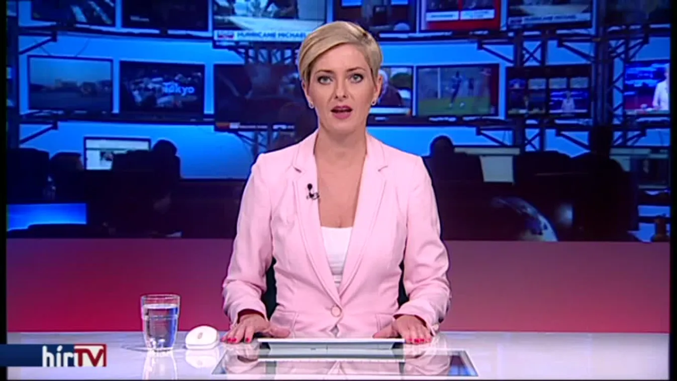 Humanitárius vízum bevezetését javasolja a LIBE bizottság