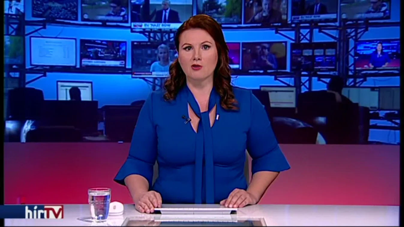 Hollik: Juncker alkoholista