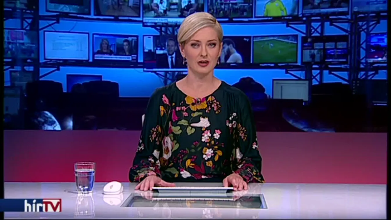 Megvan az LMP új társelnöke