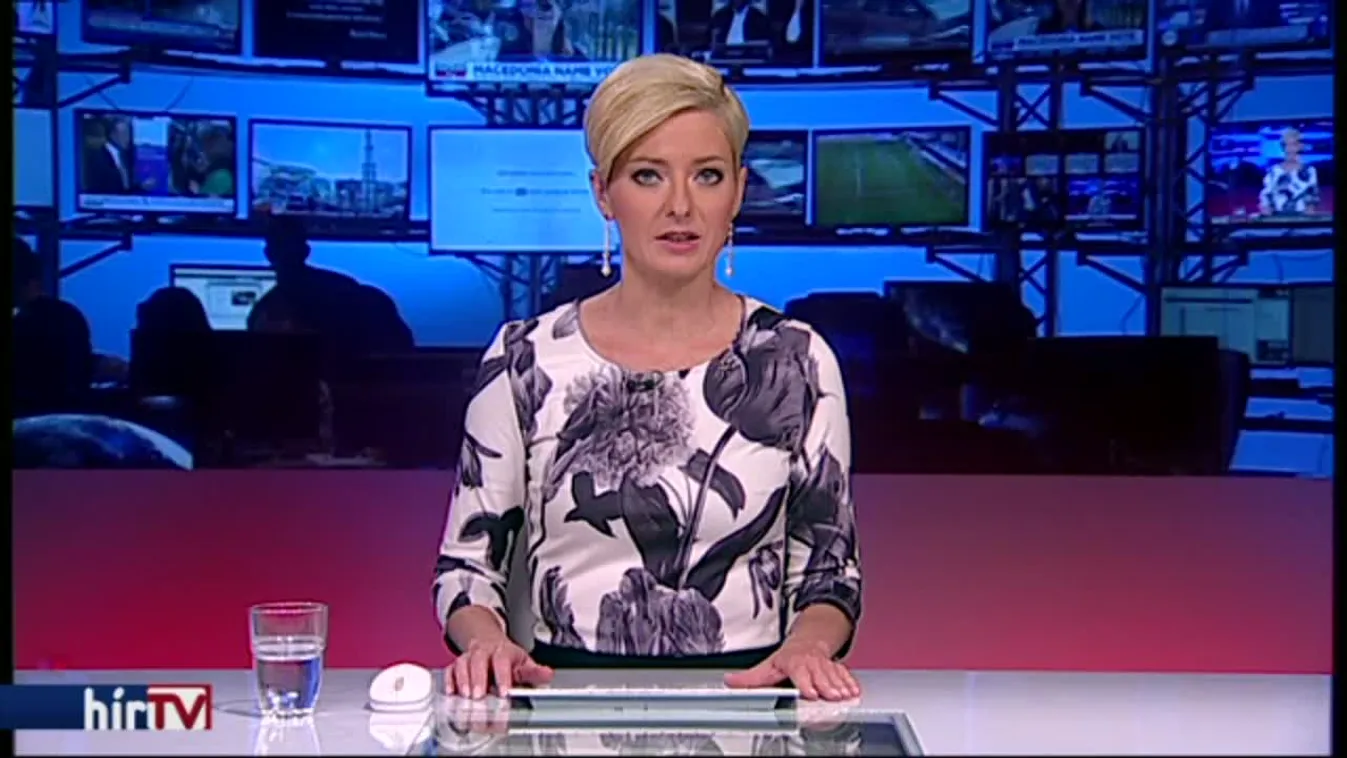 Külföldiek ellen tervezhettek merényletet a neonácik