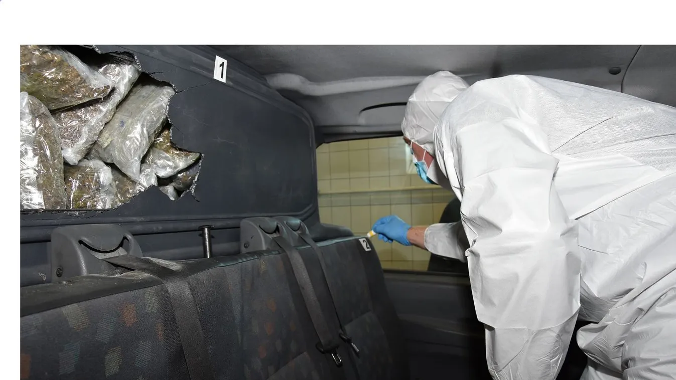 Mázsányi fű a szerb autóban