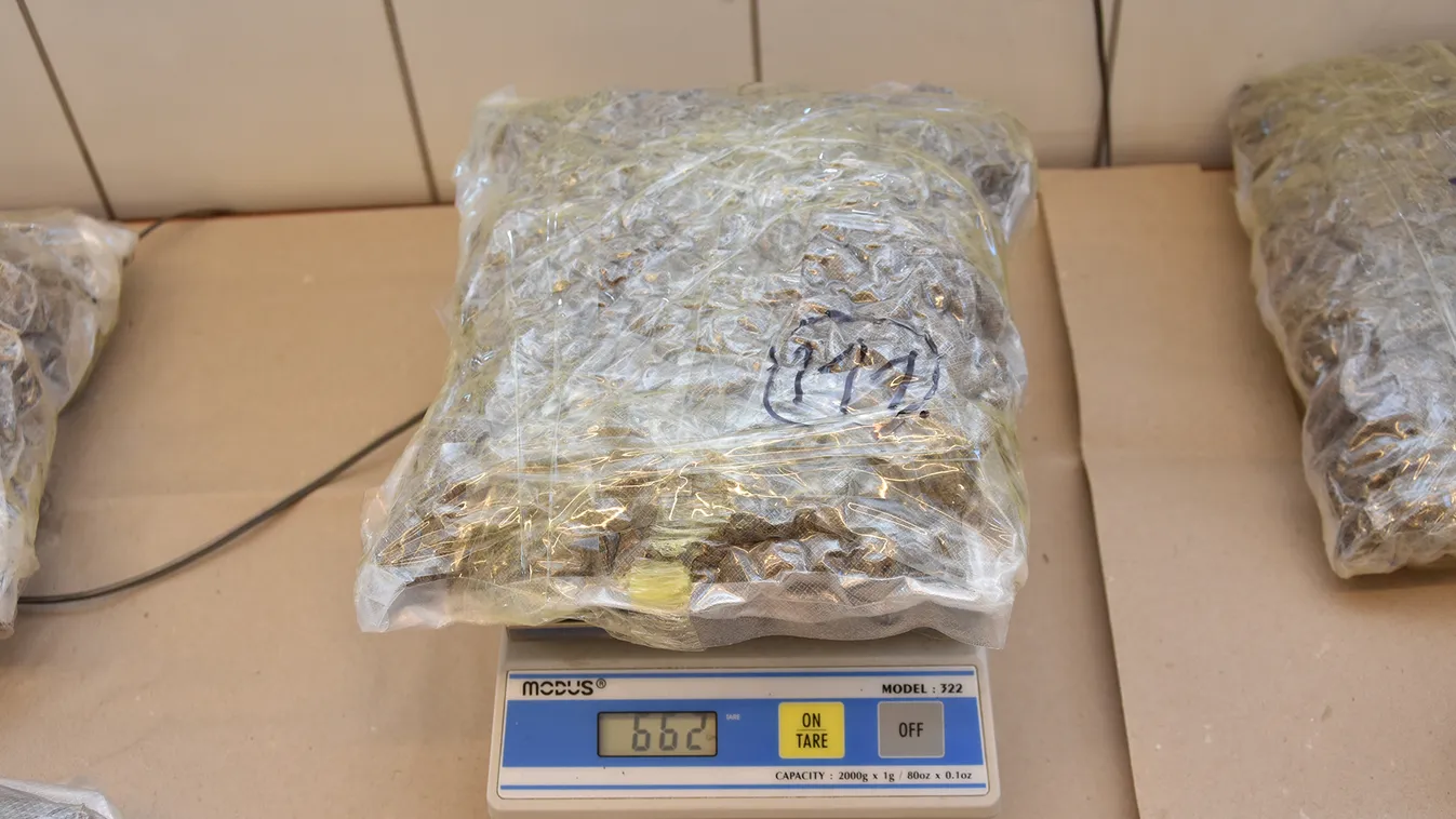 Rekord mennyiségű marihuána-fogás Tompánál