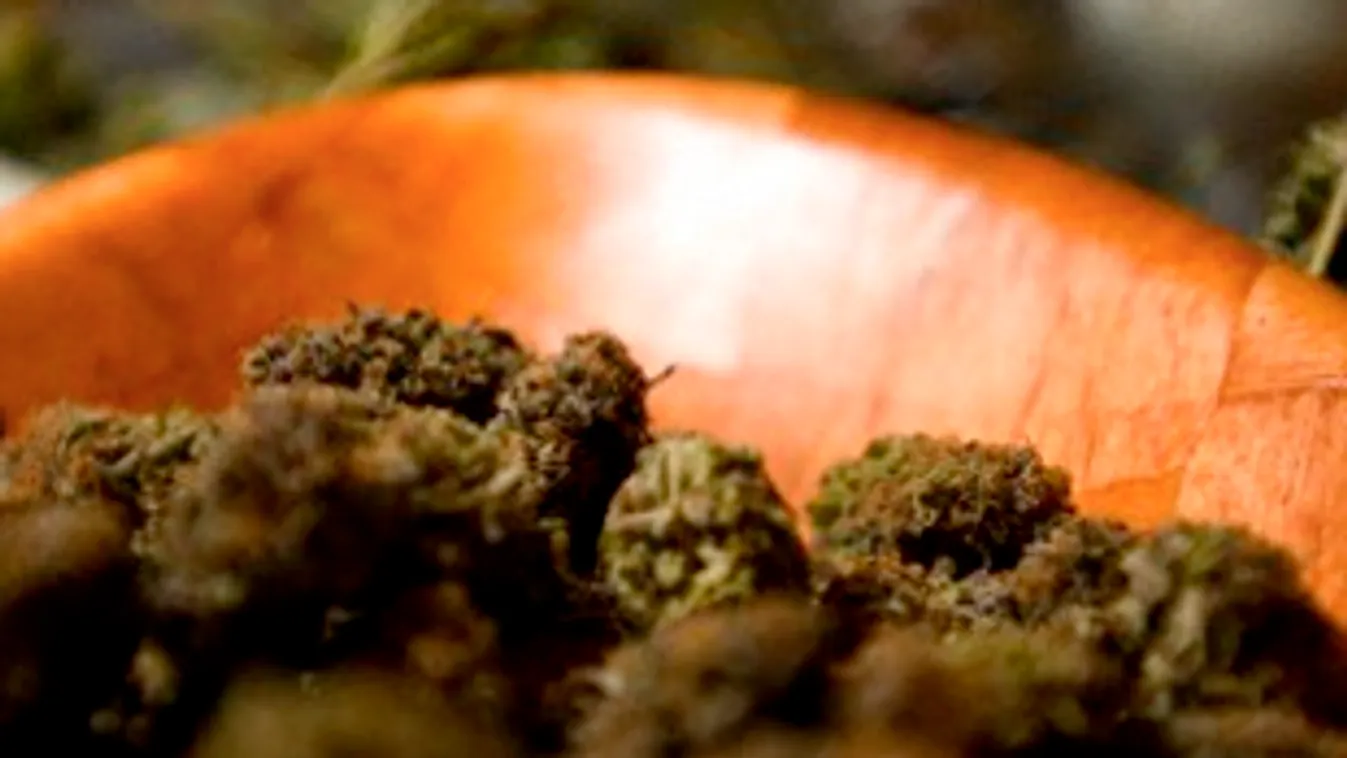 50 milliós kábítószerfogás Röszkénél