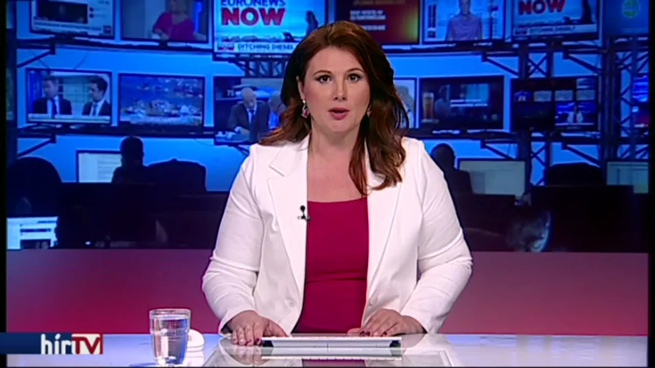 Koalíciós vitát okozott a dízel autók lecserélése