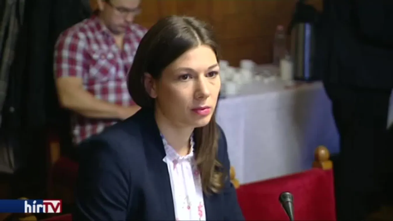 Kocsis Máté: Soros–portálok támadják a magyar miniszterelnököt