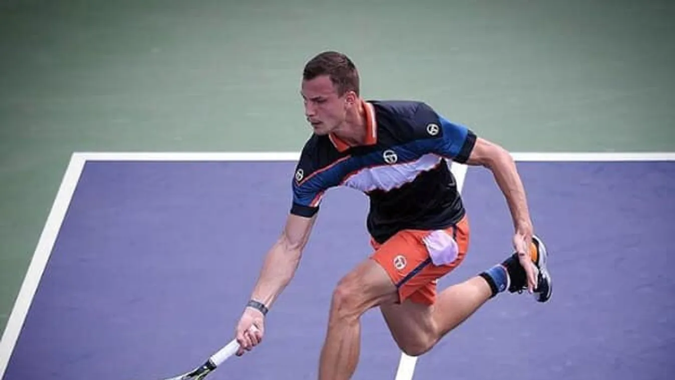 Fucsovics: Mindenemet otthagytam a pályán