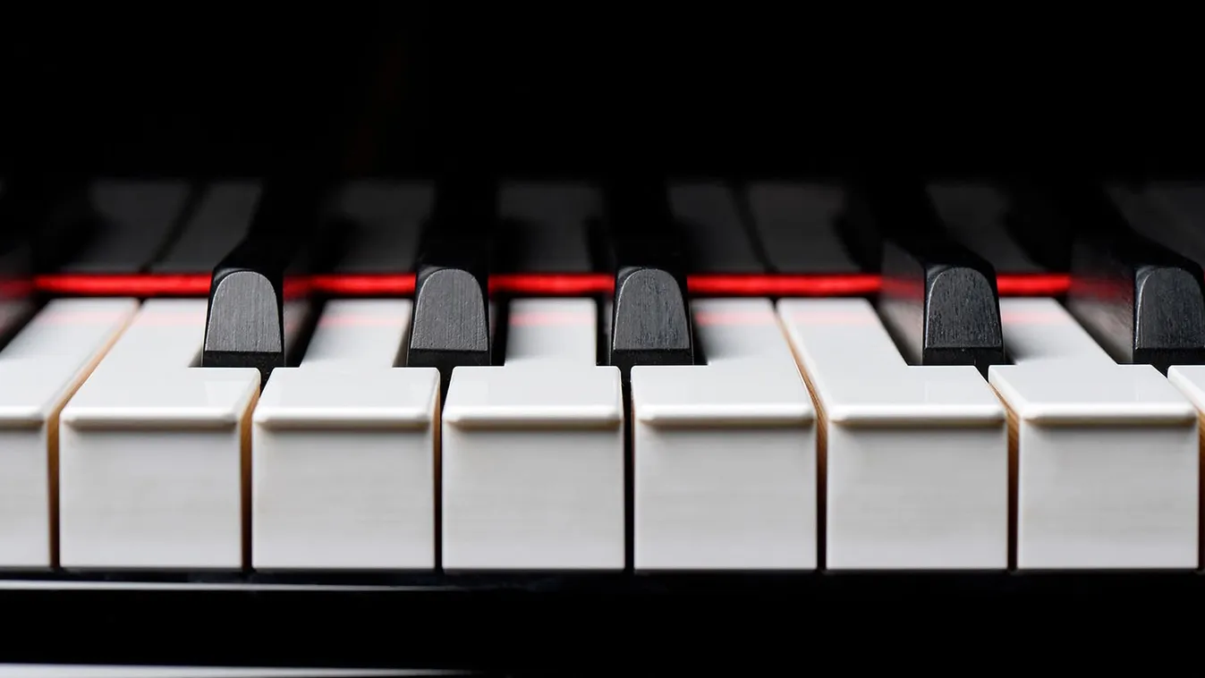 Liszt születésnapi koncertek – Paletta