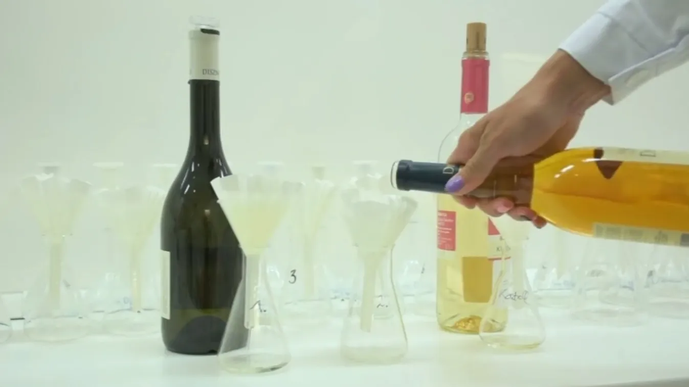 Két pincészetet záratott be ideiglenesen a Nébih Tokaj-Hegyalján