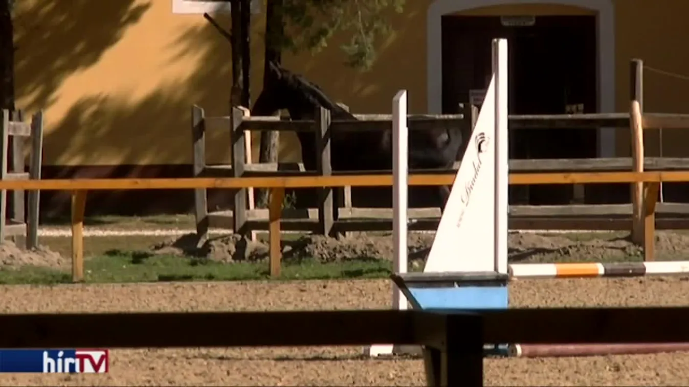 Lázár János Európa mintagazdaságává tenné a mezőhegyesi ménesbirtokot