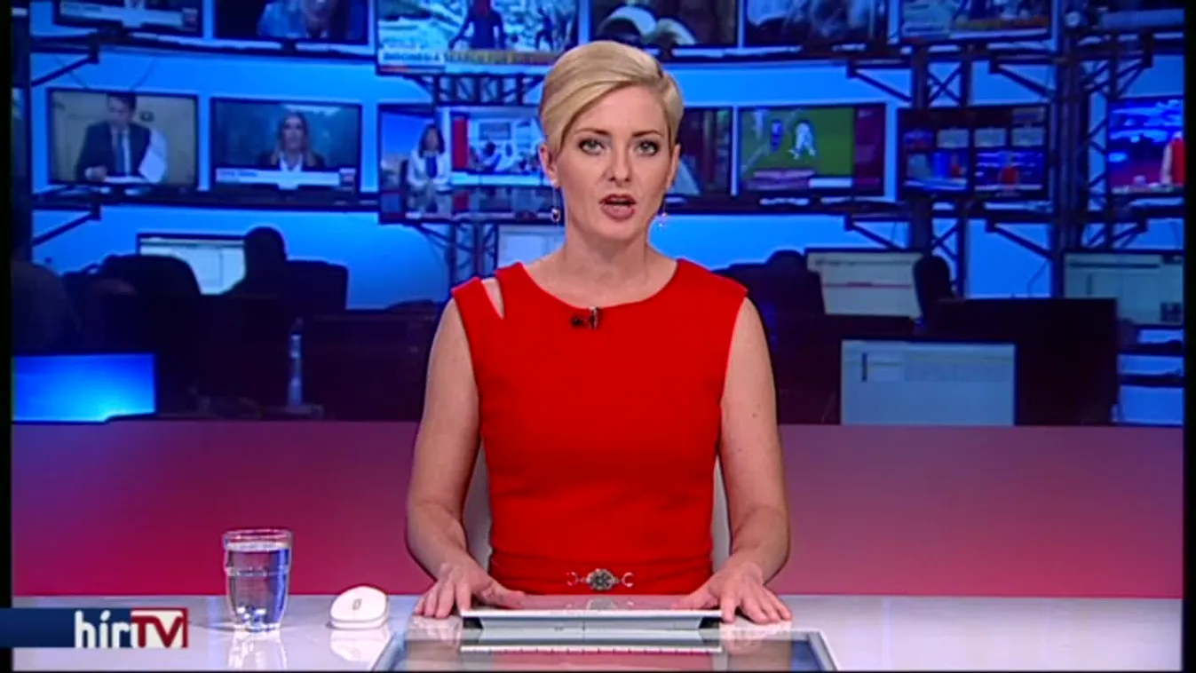 Trócsányi: Október közepéig beadja keresetét a kormány