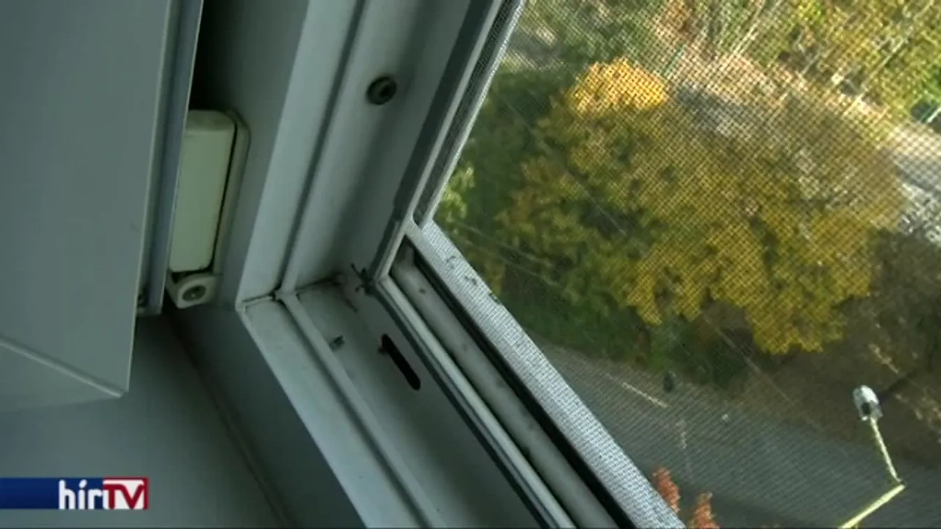 A meleg miatt mindent ellep a büdösbogár