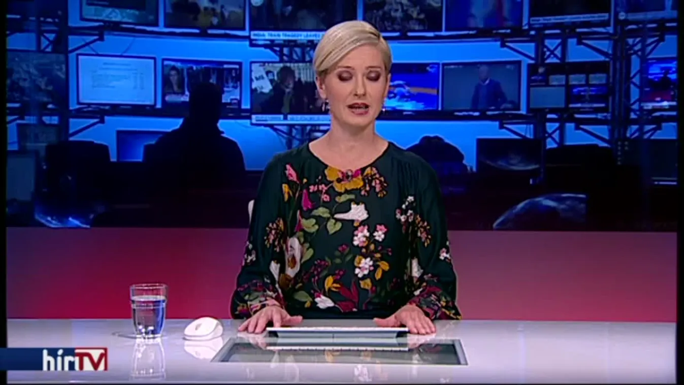 Németh: Demeternek mennie kell a honvédelmi és rendészeti bizottságból