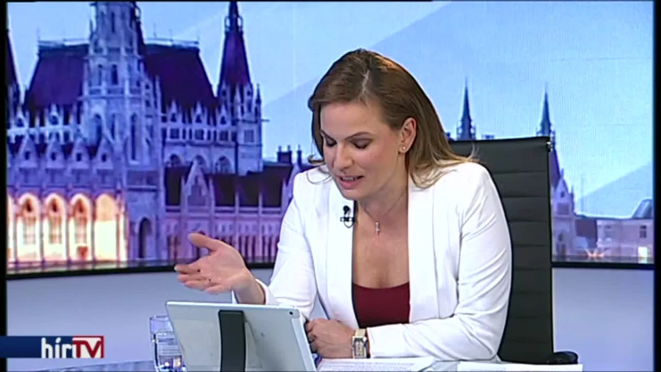 Magyarország élőben – Vita