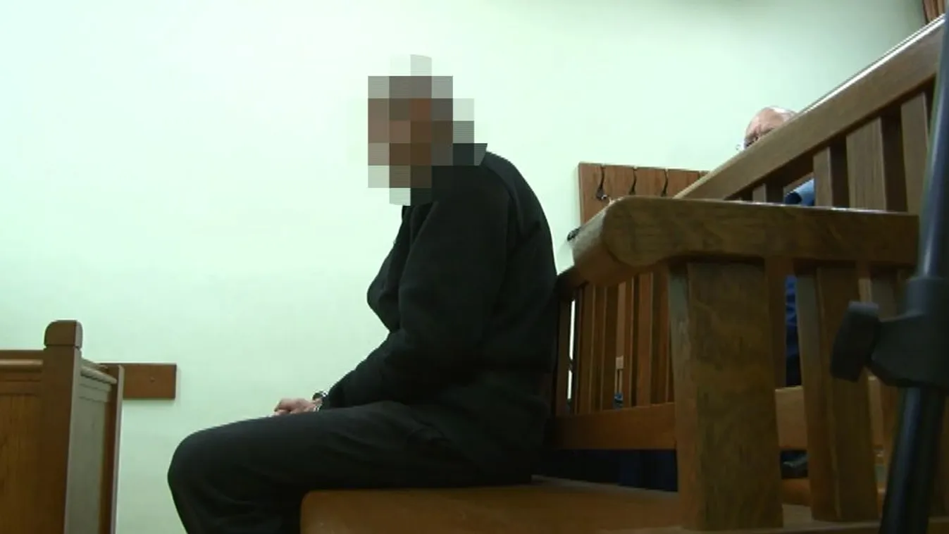 Életfogytiglant kértek a sajószögedi anyagyilkosra