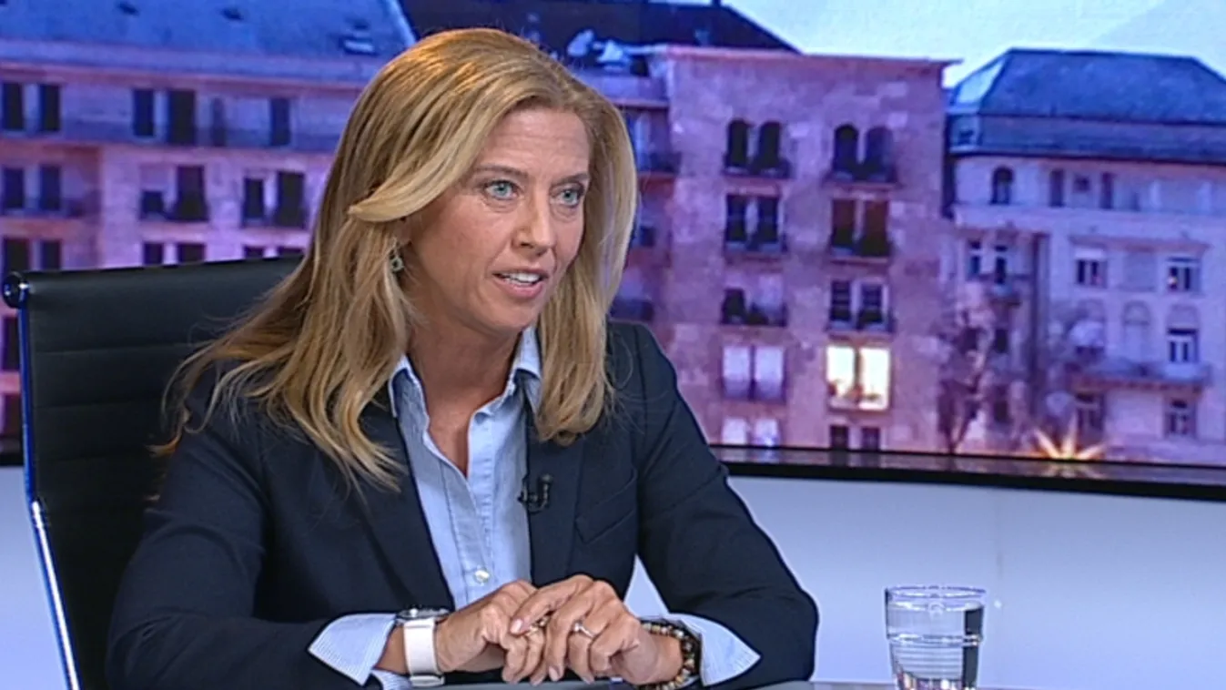 Selmeczi: Amikor az ellenzék tehette, elsőként rontott a családokra