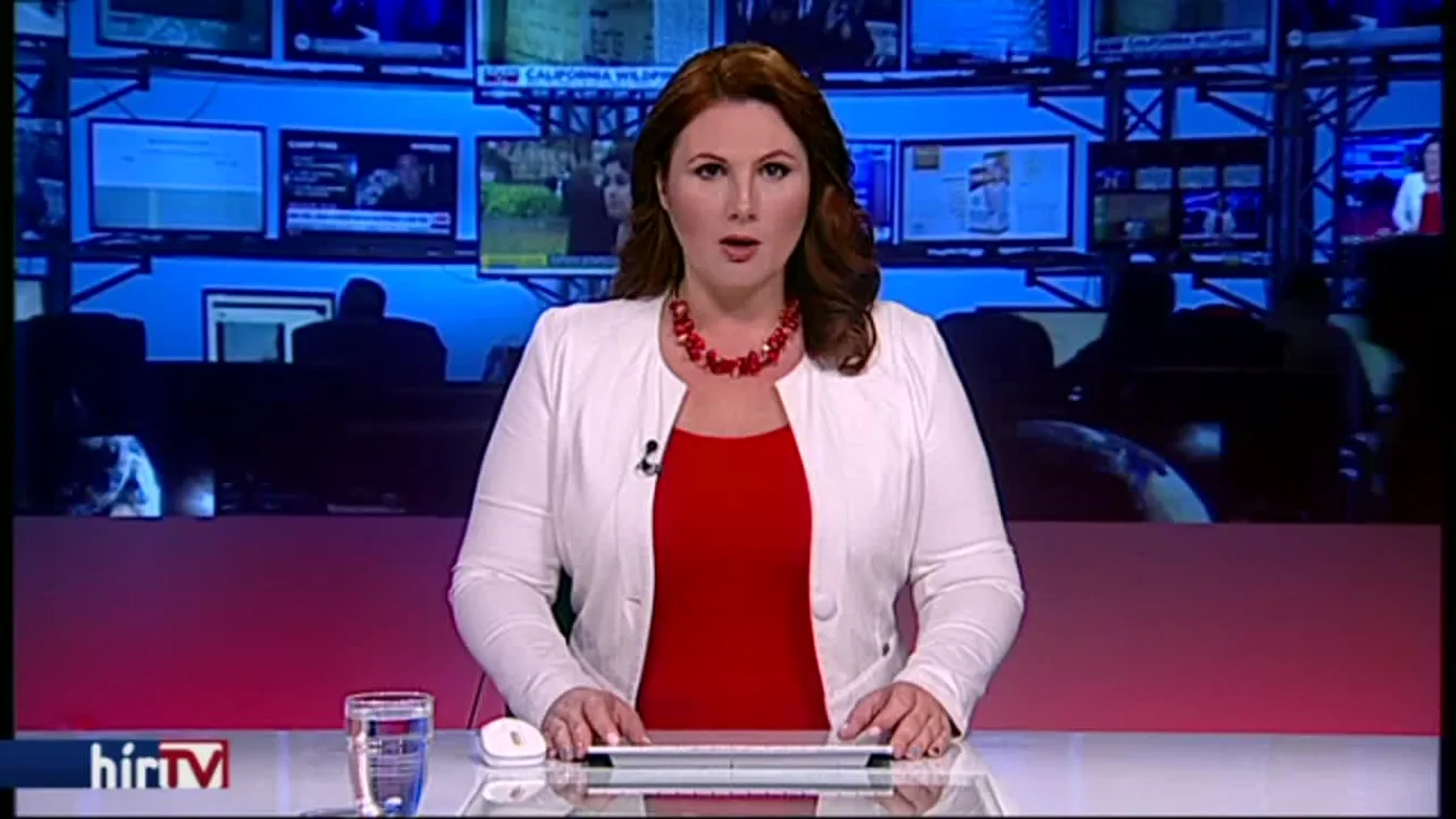 A megélhetési gyermekvállalás ellen lépne fel a Mi Hazánk