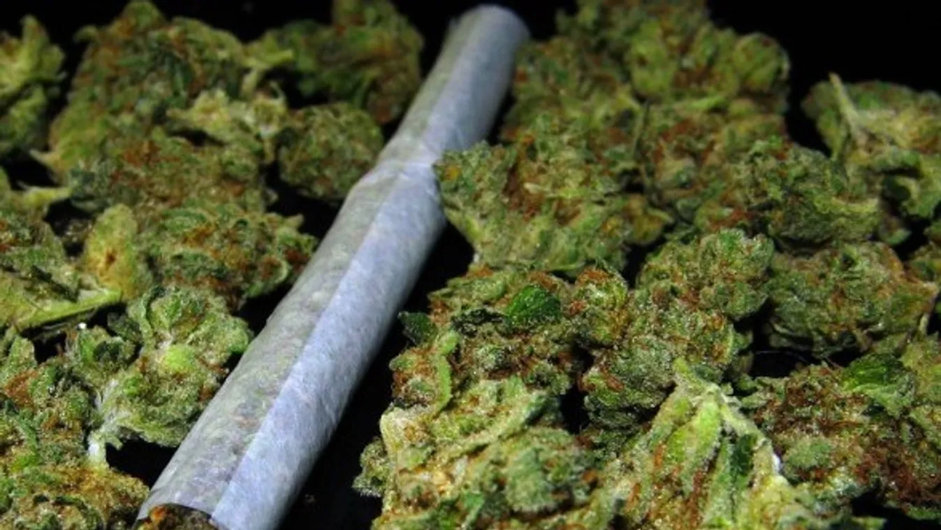 A küszöb alá rejtettek 13 kiló füvet