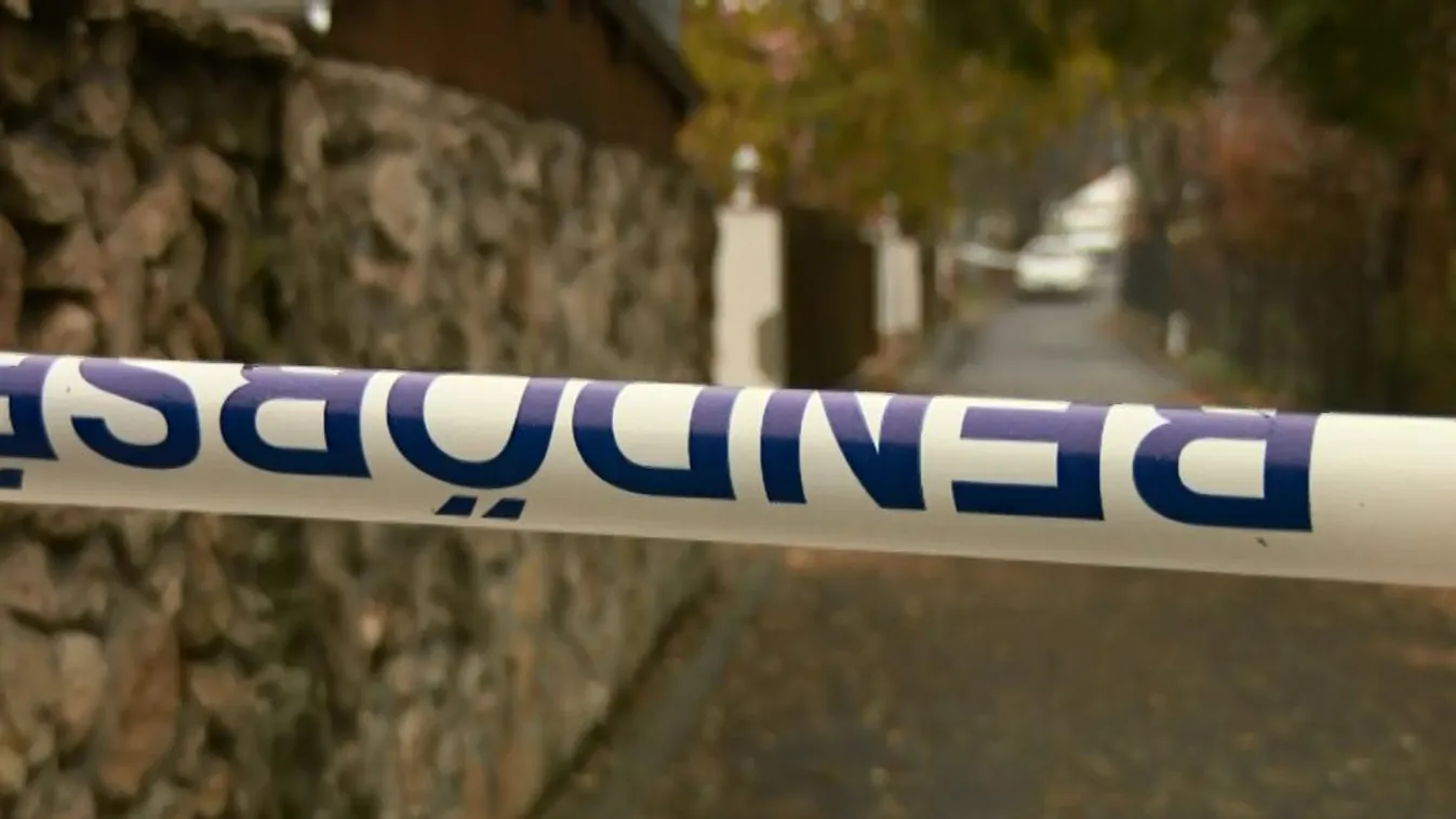 Előzetesben a békásmegyeri gyilkosság gyanúsítottja