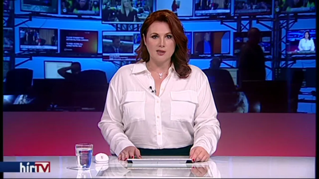 Mesterházy Attila frakcióvezető lett a NATO-ban