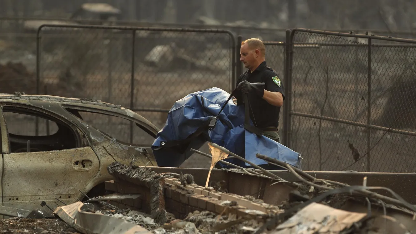 Újabb nyolc holttest a porrá lett Paradise-ban