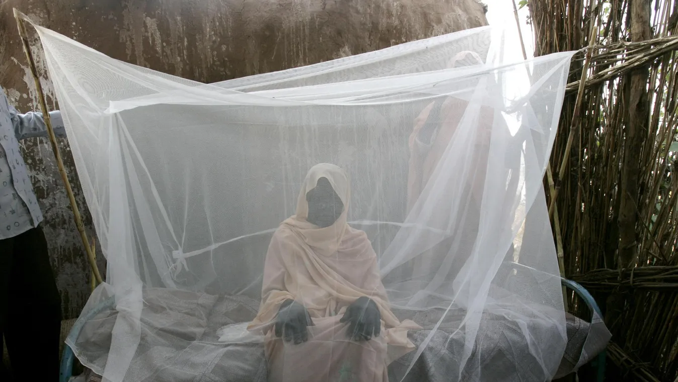 Kétmillióval nőtt a maláriával fertőzöttek száma