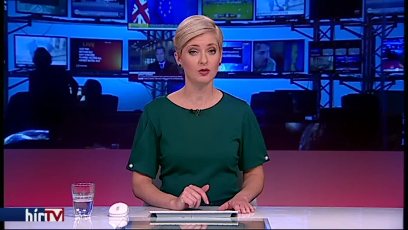 A szabad oktatásért és a CEU-ért tüntettek