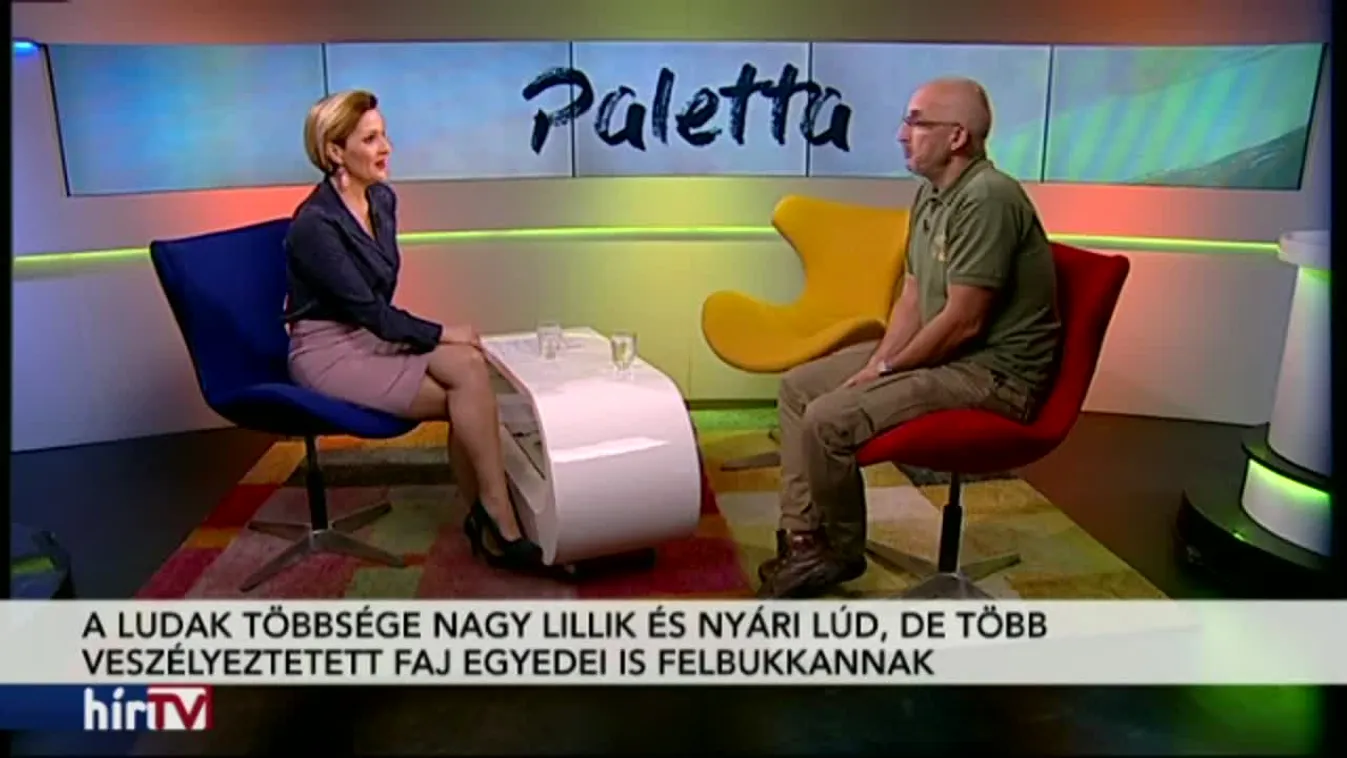 Paletta – Vadlúd-sokadalom