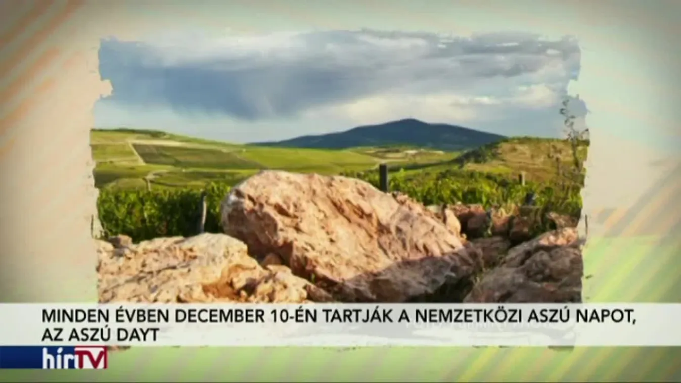 Paletta – Aszúk, Corvinák, Álomutazók