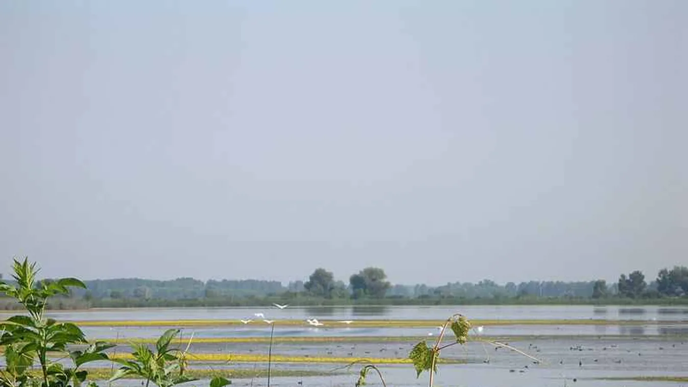 Megújulnak Ormánság vizei