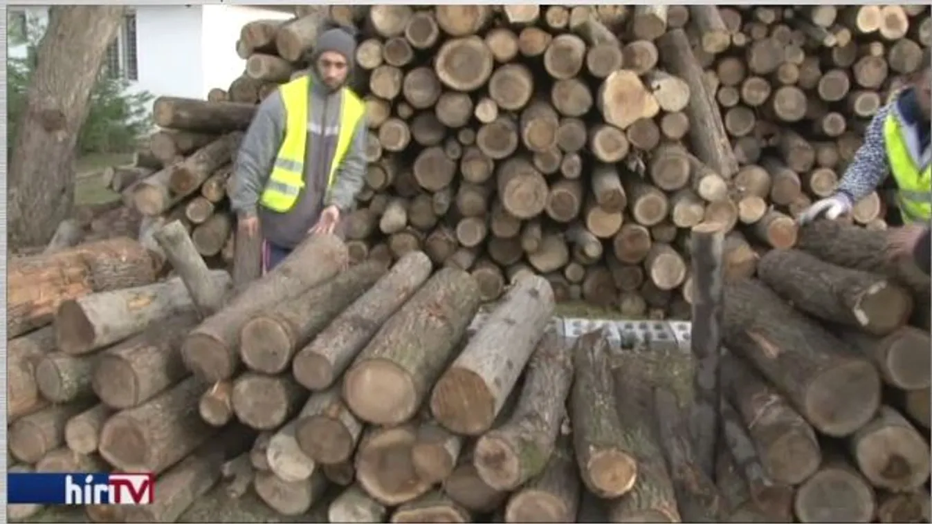 Borsodban kapják a legtöbb tűzifát