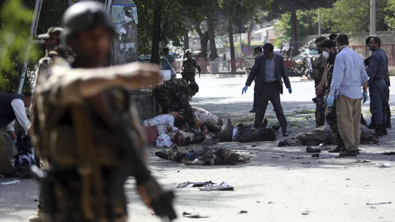 Fellángolt a tálib terror