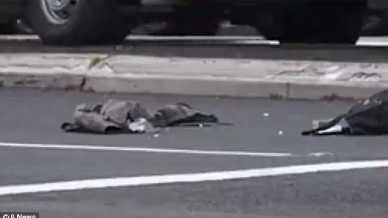 Több mint tíz évet kapott a gödöllői gázoló