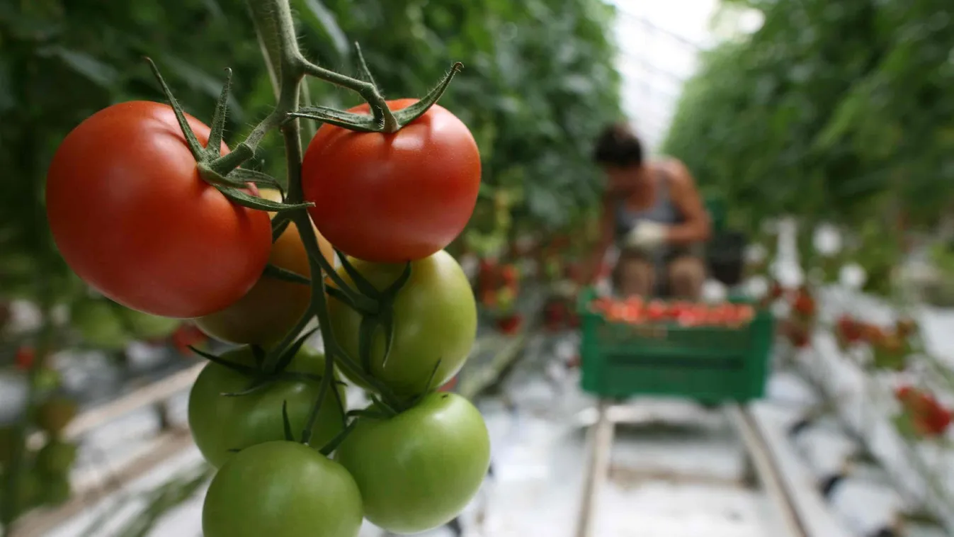 Csökkenhet az agrártámogatás az EU-ban