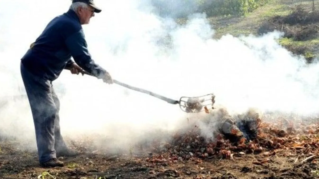 Tilos elégetni a száraz avart!