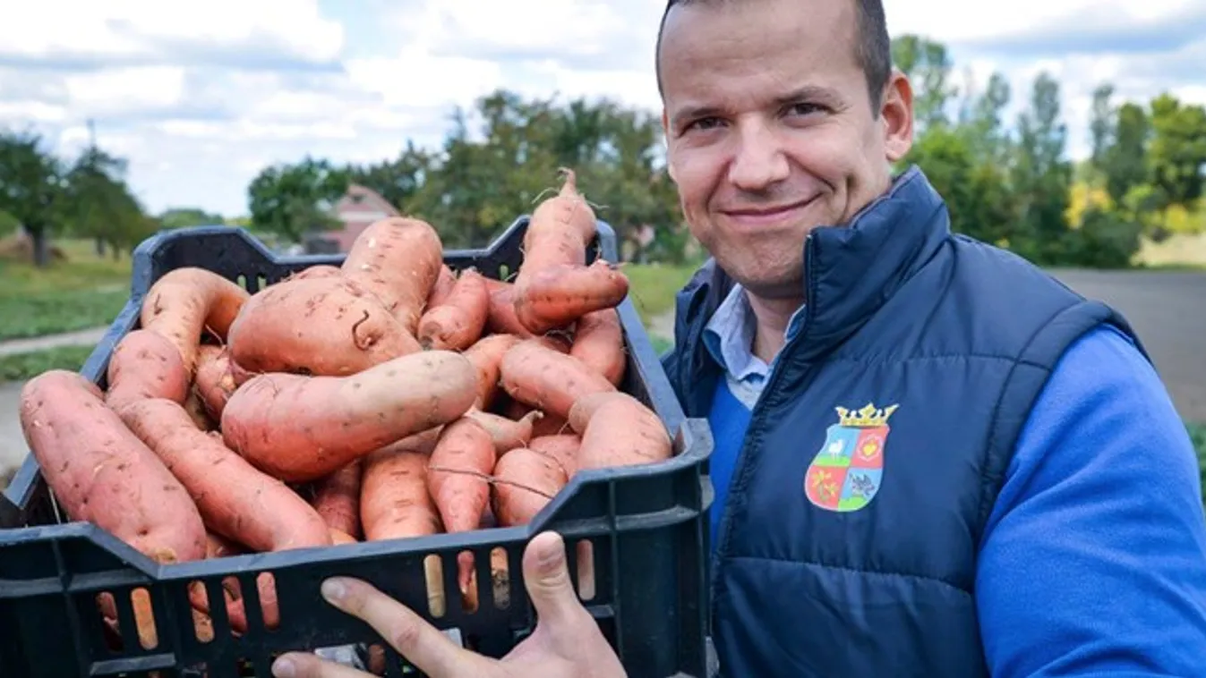 Chipsgyár épül Ásotthalmon