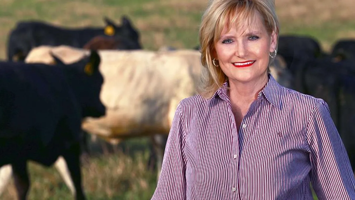 A Szenátusban növelte előnyét a Republikánus Párt