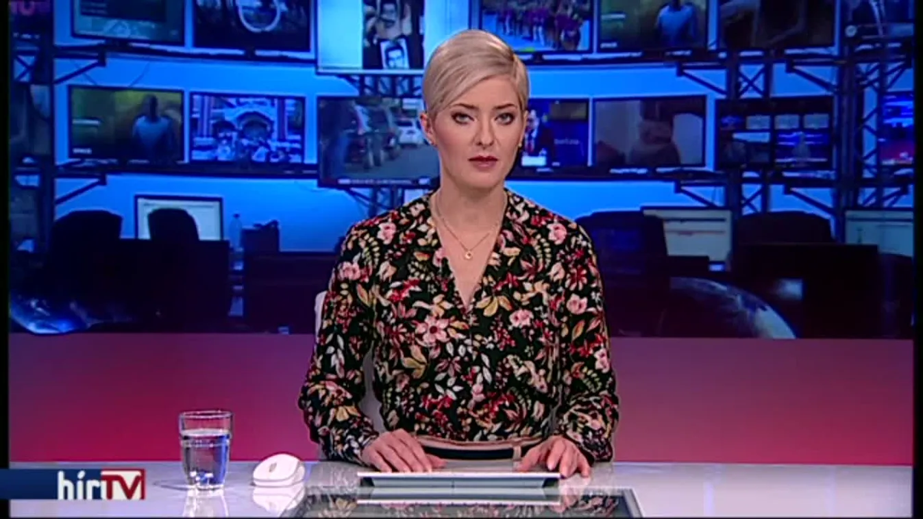 Tigris-mészárszéket üzemeltető hálózatra csaptak le Csehországban