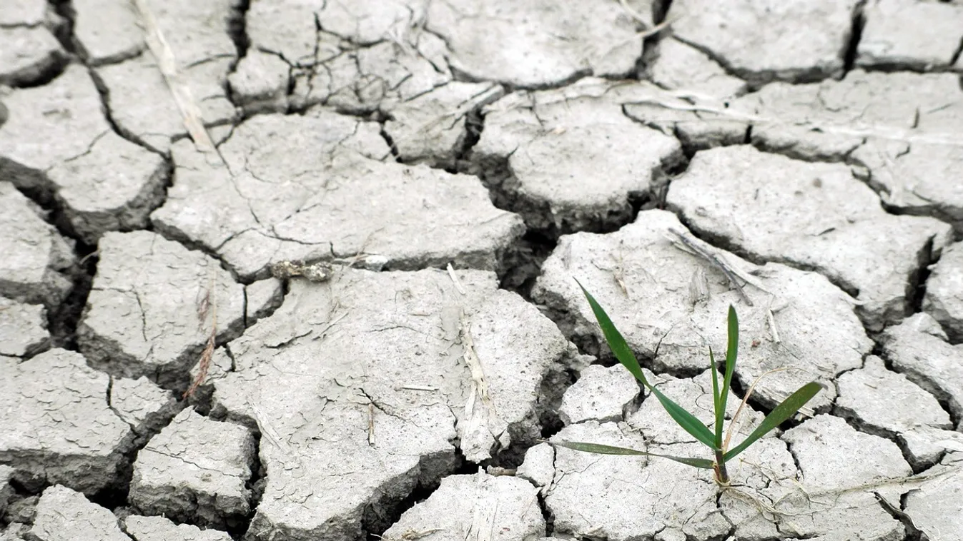 Kemény a föld, nem járja az eke – Soroló